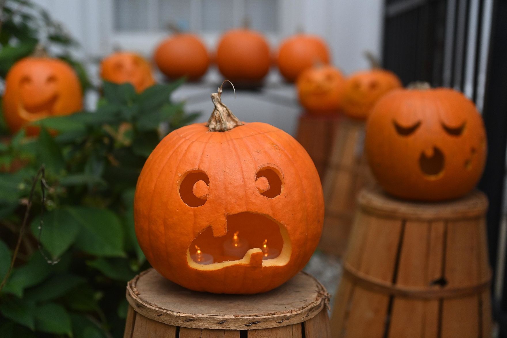 Halloweekend's pumpkin Path 2